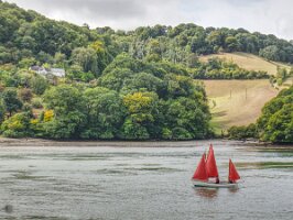 Dart-river-Greenway